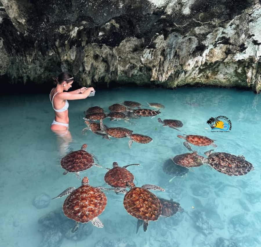 Zanzibar: Jozani Forest, Kuza Cave & Salaam Cave Aquarium - Cooling off in Kuza Cave’s clear pool