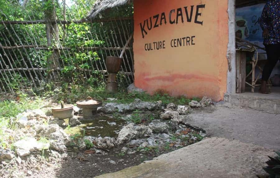 Zanzibar: Jozani forest + Kuza cave visit & Paje beach tour - Key points to know before booking