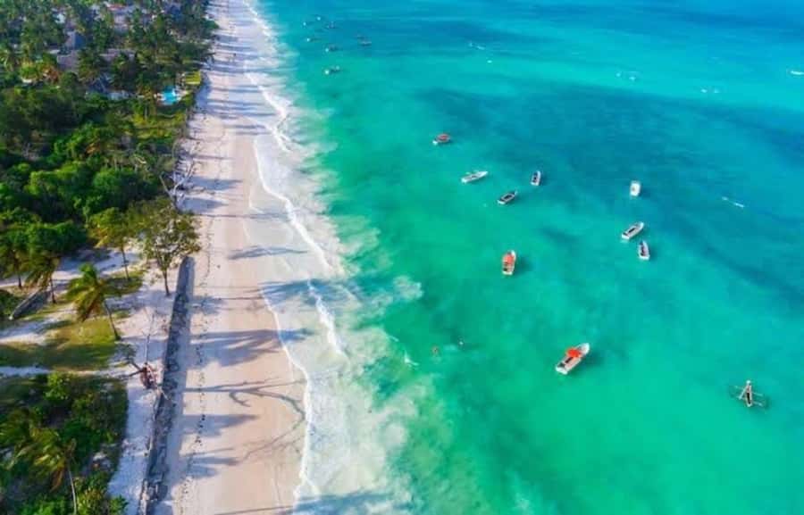 Zanzibar: Jozani forest + Kuza cave visit & Paje beach tour - Should you book it?