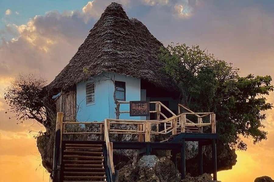 ZANZIBAR: Jozani Forest Monkey Tour and The Rock Restaurant - Jozani Forest, Zanzibar’s best wildlife stop