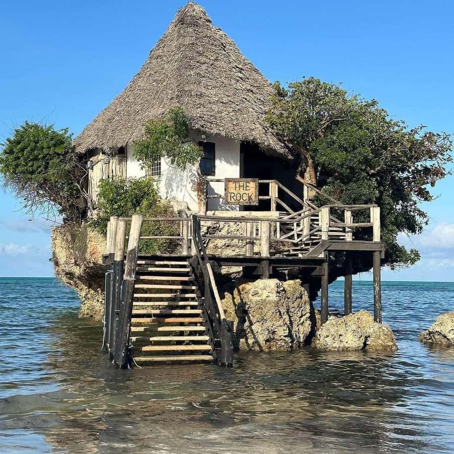 ZANZIBAR: Jozani Forest Monkey Tour and The Rock Restaurant - What the two-hour forest visit feels like