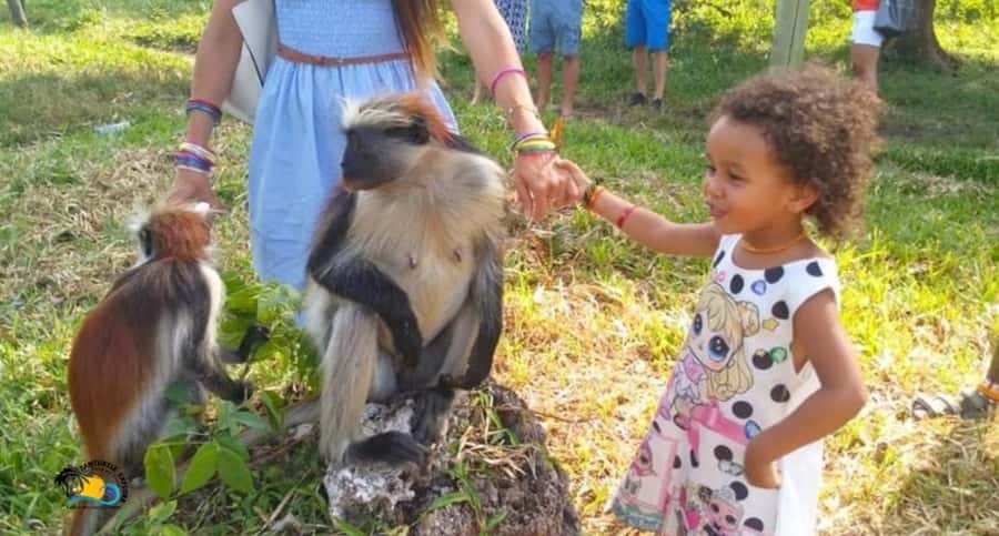 Zanzibar: Jozani Forest National Park Guided Tour - How much value do you get for $47?