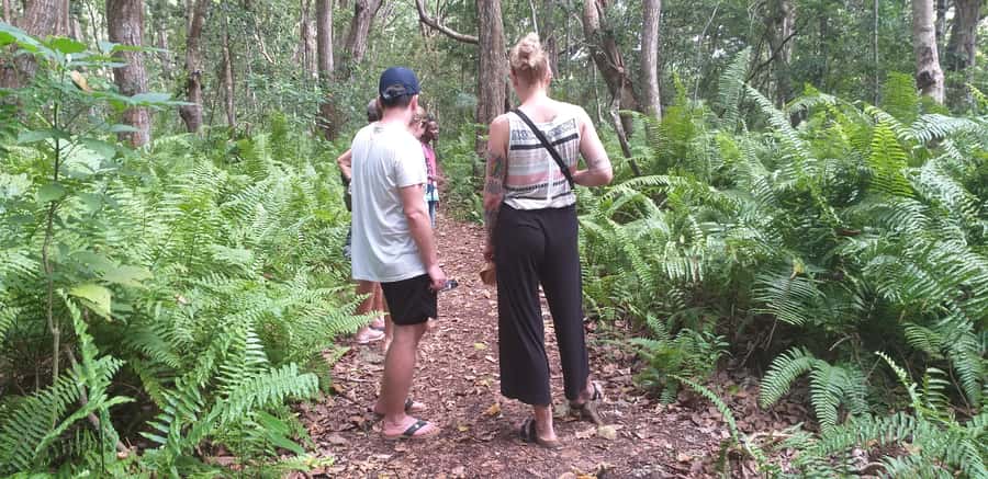 Zanzibar: Jozani Forest & Red Colobus Monkeys Private Tour - Why Jozani Forest deserves a place in your Zanzibar plans