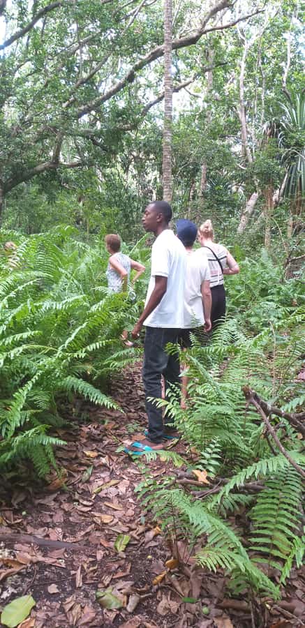 Zanzibar: Jozani Forest & Red Colobus Monkeys Private Tour - What the private format adds