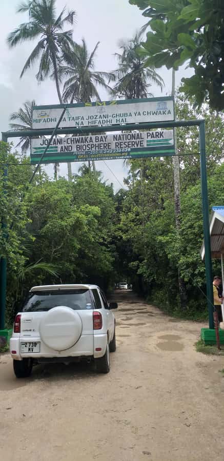 Zanzibar: Jozani Forest & Red Colobus Monkeys Private Tour - My verdict on the Jozani Forest private tour
