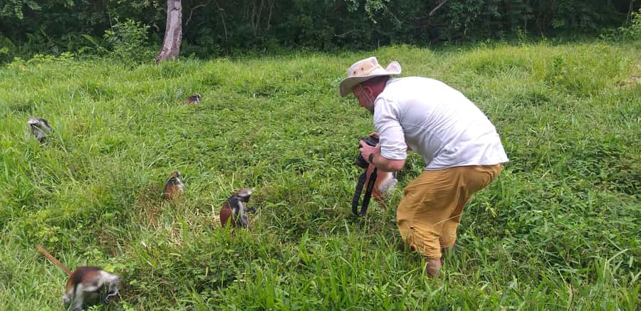 Zanzibar: Jozani Forest & Red Colobus Monkeys Private Tour - Entering Jozani Chwaka Bay National Park