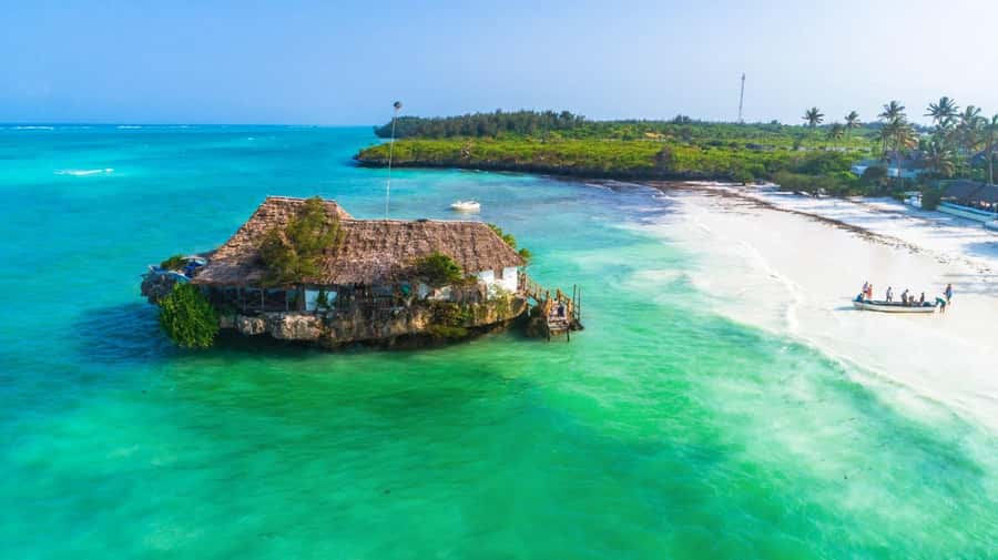 Zanzibar: Jozani Forest,Red colobus,the Rock Restaurant tour - Jozani Forest and The Rock in one half-day