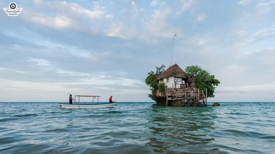 Zanzibar: Jozani Forest,Red colobus,the Rock Restaurant tour - Walking through Zanzibar’s Jozani Forest