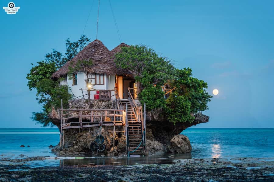 Zanzibar: Jozani Forest,Red colobus,the Rock Restaurant tour - Who will enjoy this outing most