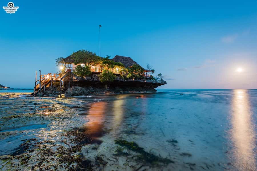 Zanzibar: Jozani Forest,Red colobus,the Rock Restaurant tour - The ride from your hotel to Jozani