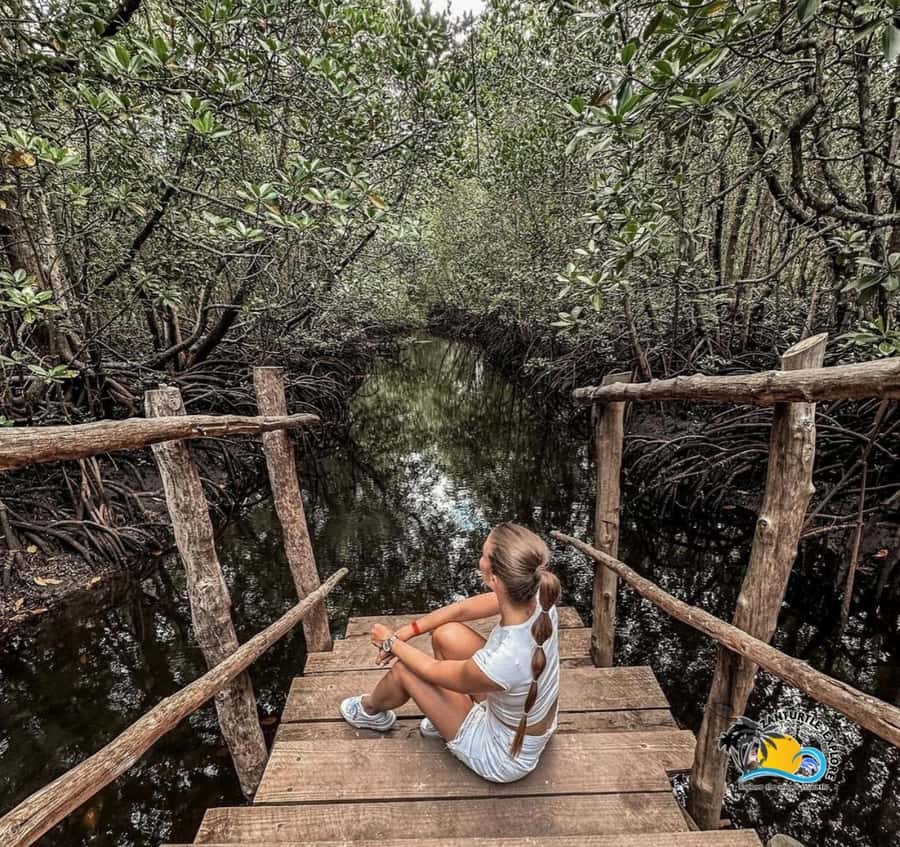 Zanzibar: Jozani Forest & Salaam Cave Sea Turtles Swim Tour - Booking flexibility and access notes