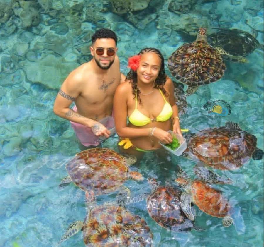 Zanzibar: Jozani Forest & Salaam Cave Sea Turtles Swim Tour - Guides and the language question