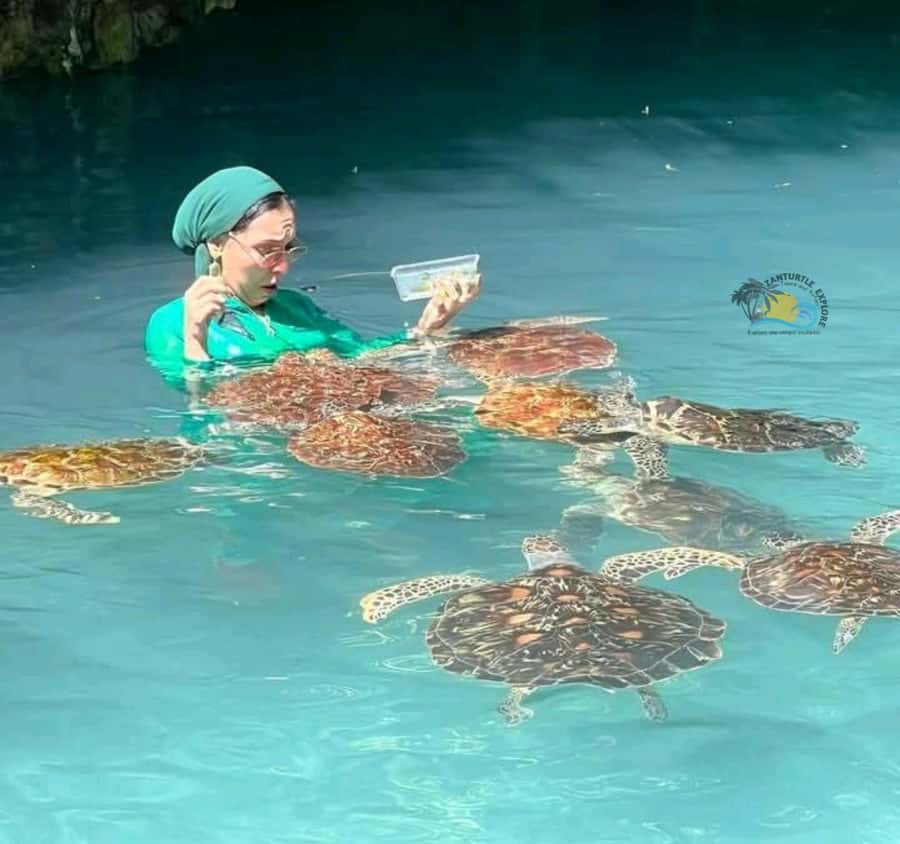 Zanzibar: Jozani Forest & Salaam Cave Sea Turtles Swim Tour - What the $95 price covers