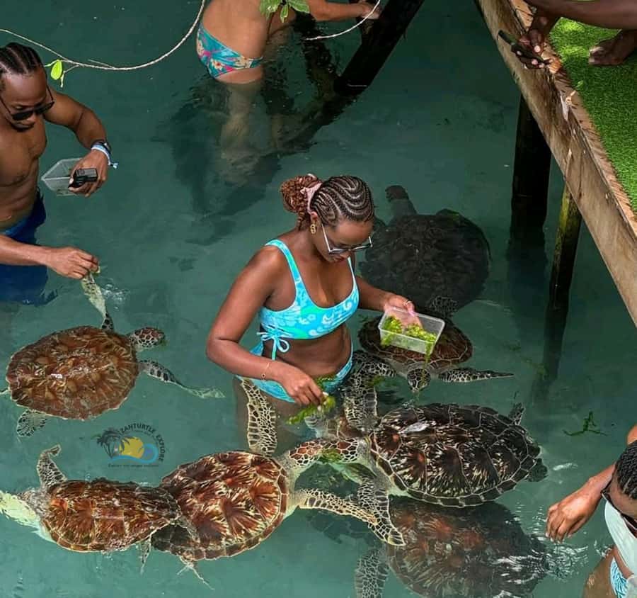 Zanzibar: Jozani Forest & Salaam Cave Sea Turtles Swim Tour - Who will enjoy this outing most