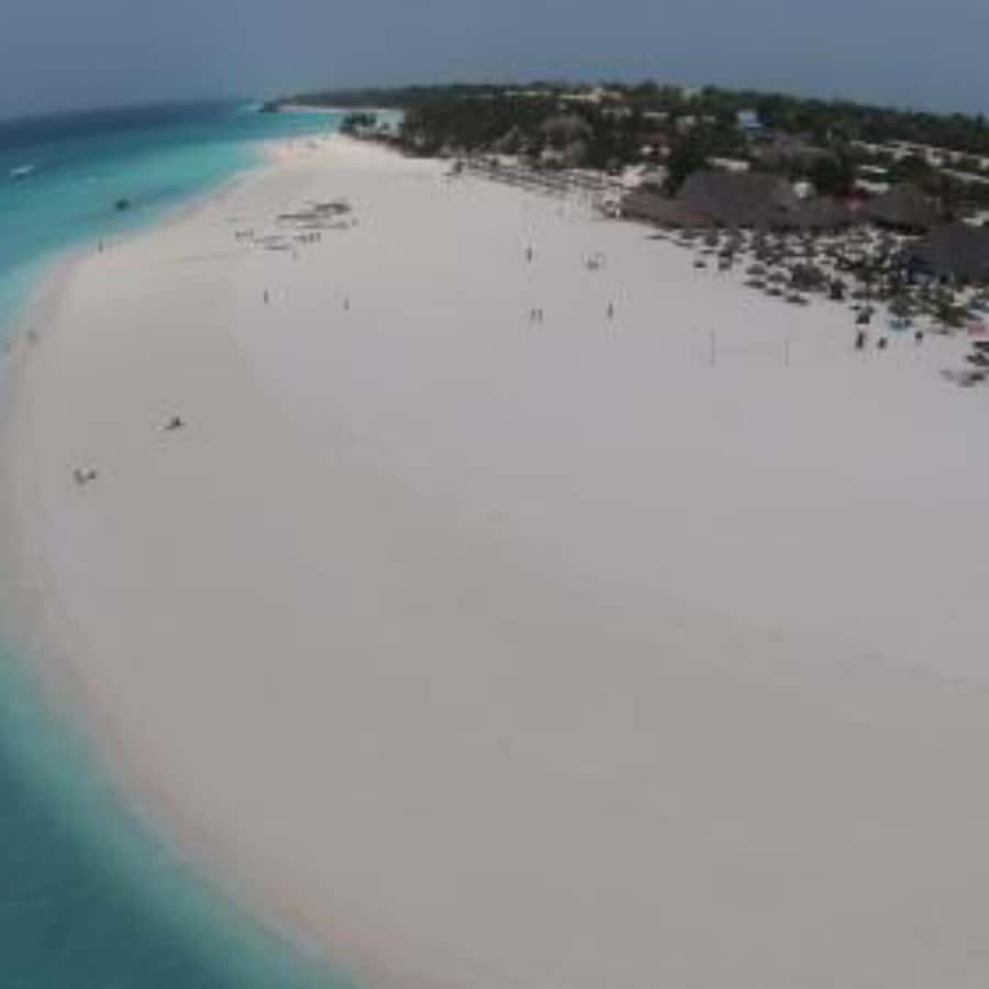 ZANZIBAR: Jozani Forest,Salaam Cave, The Rock & Blue Lagoon - Key points to know before booking