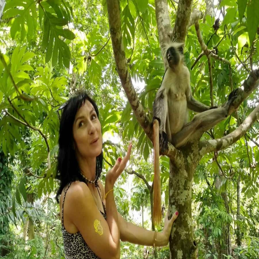 ZANZIBAR: Jozani Forest,Salaam Cave, The Rock & Blue Lagoon - Jozani Forest and the red colobus monkeys