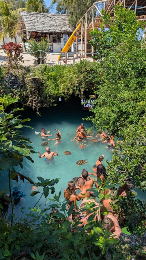 Zanzibar: Jozani Forest, Salaam Cave & The Rock Restaurant - What the $115 price really covers
