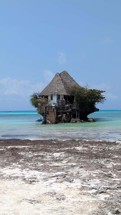 Zanzibar: Jozani Forest, Salaam Cave & The Rock Restaurant - Comfort, access, and what to pack
