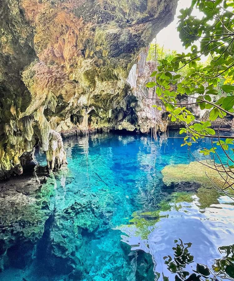 Zanzibar: Jozani Forest, Salaam & Maalum Caves and Sunset - Key points to know before booking