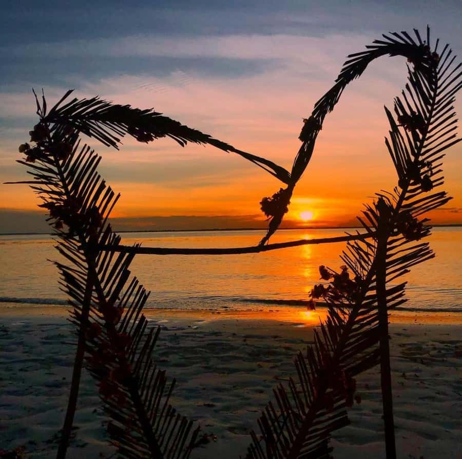 Zanzibar: Jozani Forest, Salaam & Maalum Caves and Sunset - A full day from Zanzibar to the south