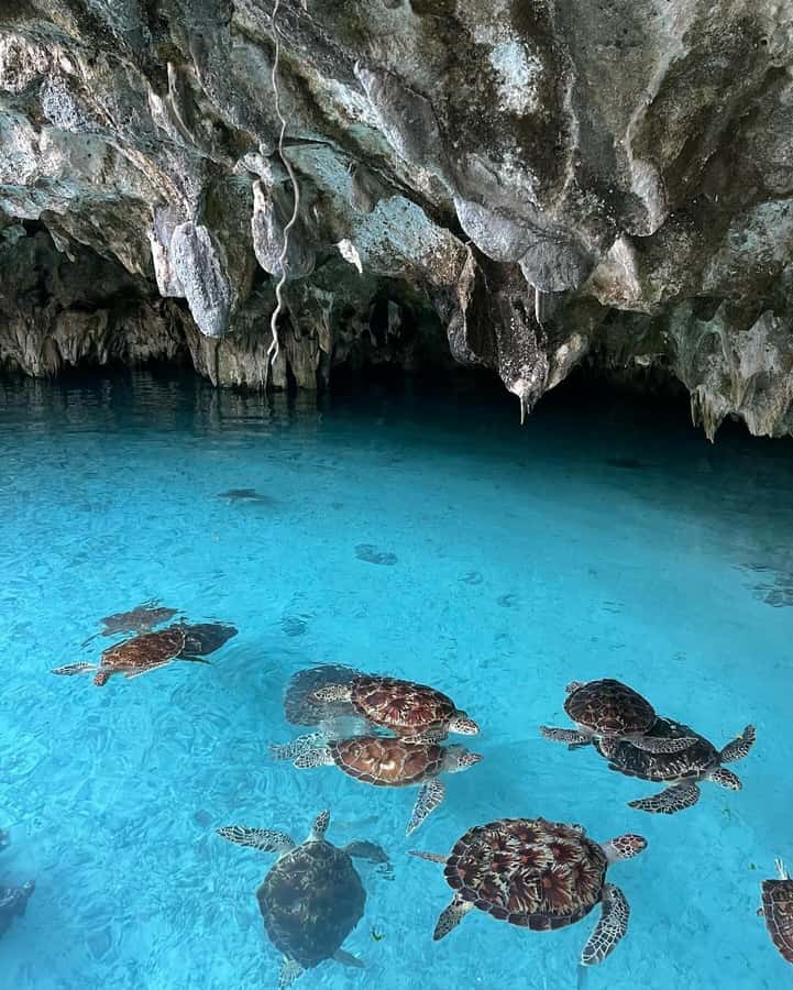 Zanzibar: Jozani Forest, Salaam & Maalum Caves and Sunset - Maalum Cave and its fresh-water pool