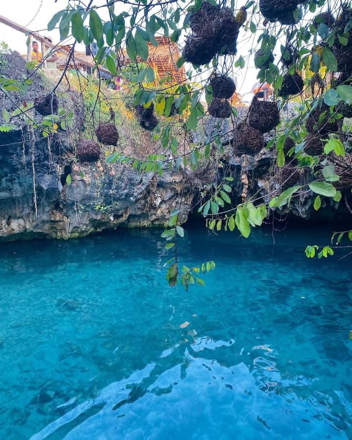 Zanzibar: Jozani Forest, Salaam & Maalum Caves and Sunset - Sunset at Kae Mangroves Beach Bar