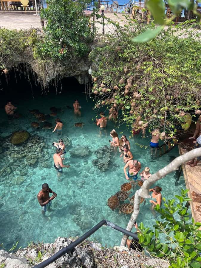 Zanzibar: Jozani Forest & Sea Tortoises Sanctuary Tour - Why this Zanzibar pairing works