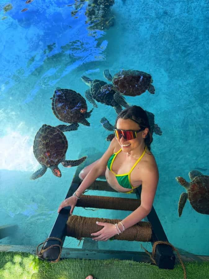 Zanzibar: Jozani Forest & Sea Tortoises Sanctuary Tour - What the turtle stop is really like