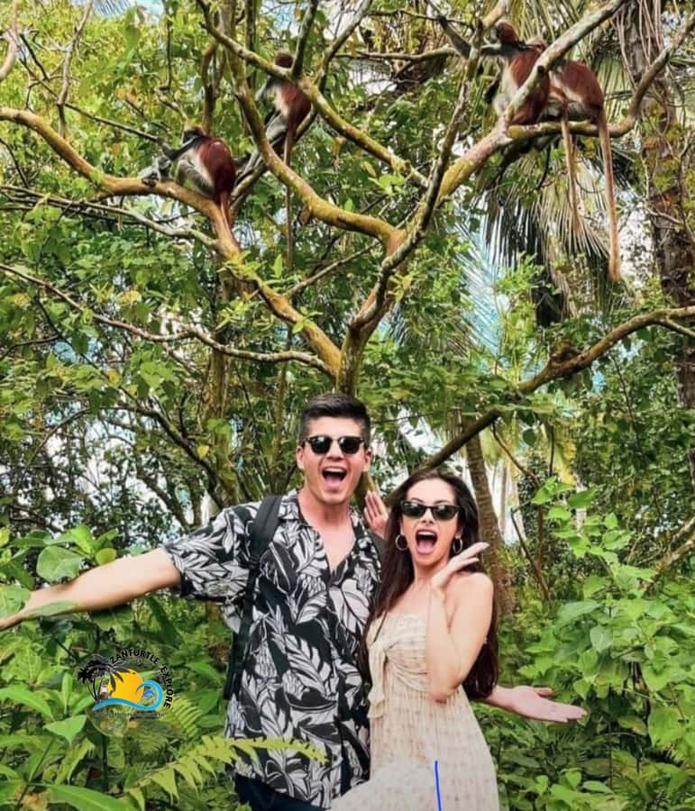 Zanzibar: Jozani Forest Tour and The Rock Restaurant - The forest as a natural pharmacy