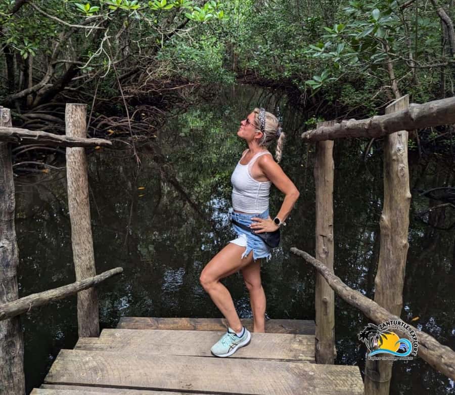 Zanzibar: Jozani Forest Tour and The Rock Restaurant - The mangrove boardwalk