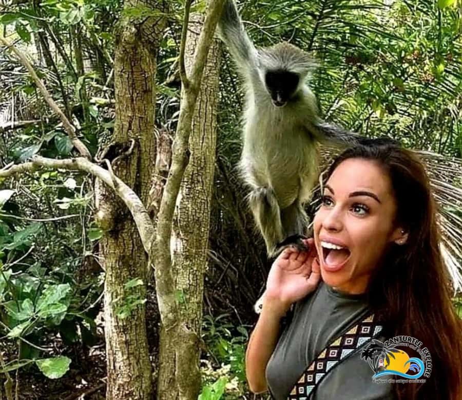 Zanzibar: Jozani Forest Tour and The Rock Restaurant - Useful planning details