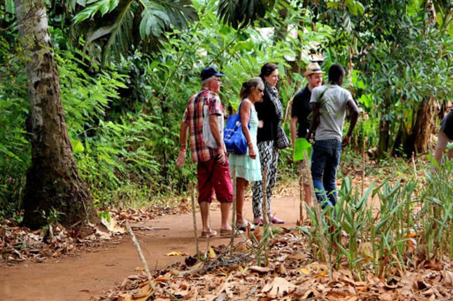 Zanzibar: Jozani forest tour & Spice farm tour with lunch - Key points to know before booking