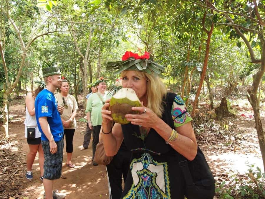 Zanzibar: Jozani forest tour & Spice farm tour with lunch - A Zanzibar day built around two very different stops
