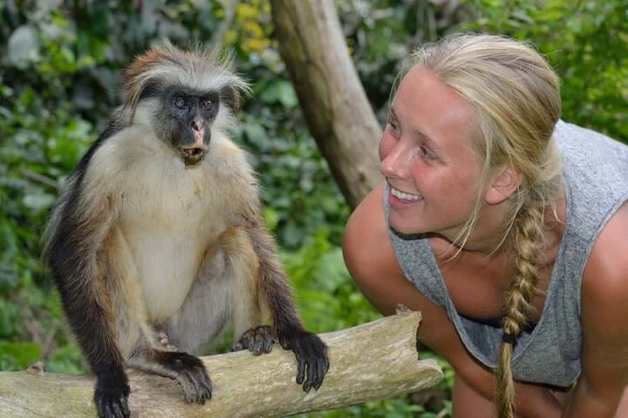 Zanzibar: Jozani Forest Watching Colobus Monkeys Guided Tour - Following the mangrove boardwalk