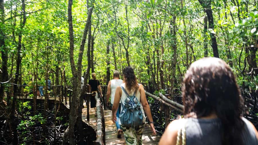 Zanzibar: Jozani Red Colobos Monkey & Salaam Turtle Santuary - Why this five-hour pairing works