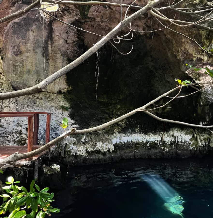 Zanzibar: Maalum Cave Natural Swimming Pool Tour in Paje - Key points to know before booking