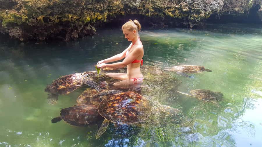 Zanzibar: Maasai village and Nungwi turtles experience trip - The 20-minute transfer to Nungwi