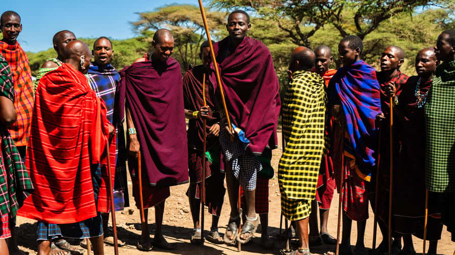 Zanzibar: Maasai village and Nungwi turtles experience trip - What the $50 price covers