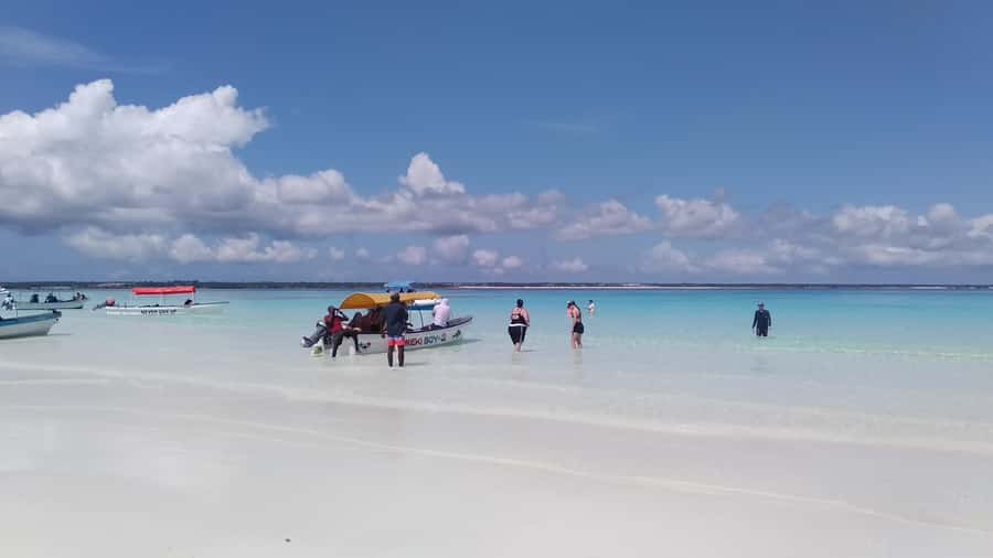 Zanzibar: Mnemba Atoll Marine Reserve Snorkeling Tour - What the Mnemba trip really offers