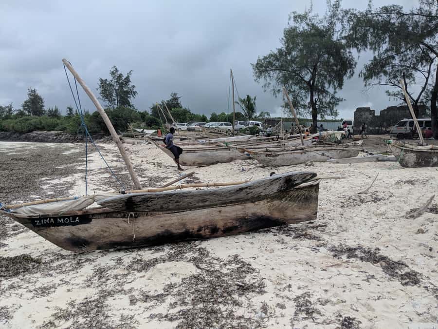 Zanzibar: Mnemba Atoll Marine Reserve Snorkeling Tour - Practical tips for a better day