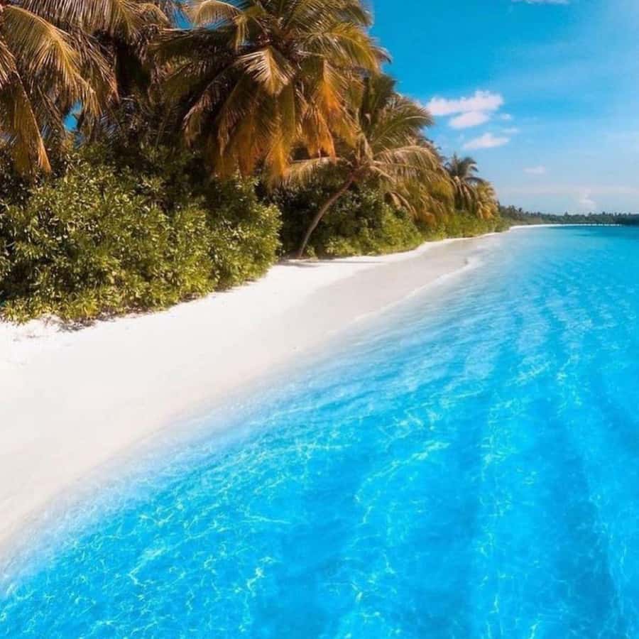 Zanzibar: Mnemba Island Atoll Guided Day Trip - The Rock Restaurant and the limits of the photo stop