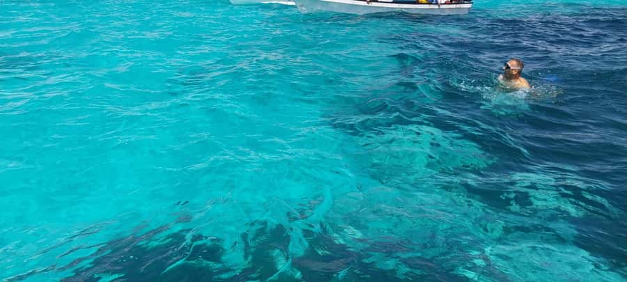 Zanzibar: Mnemba Island Dolphin and Snorkeling Tour - The private island question