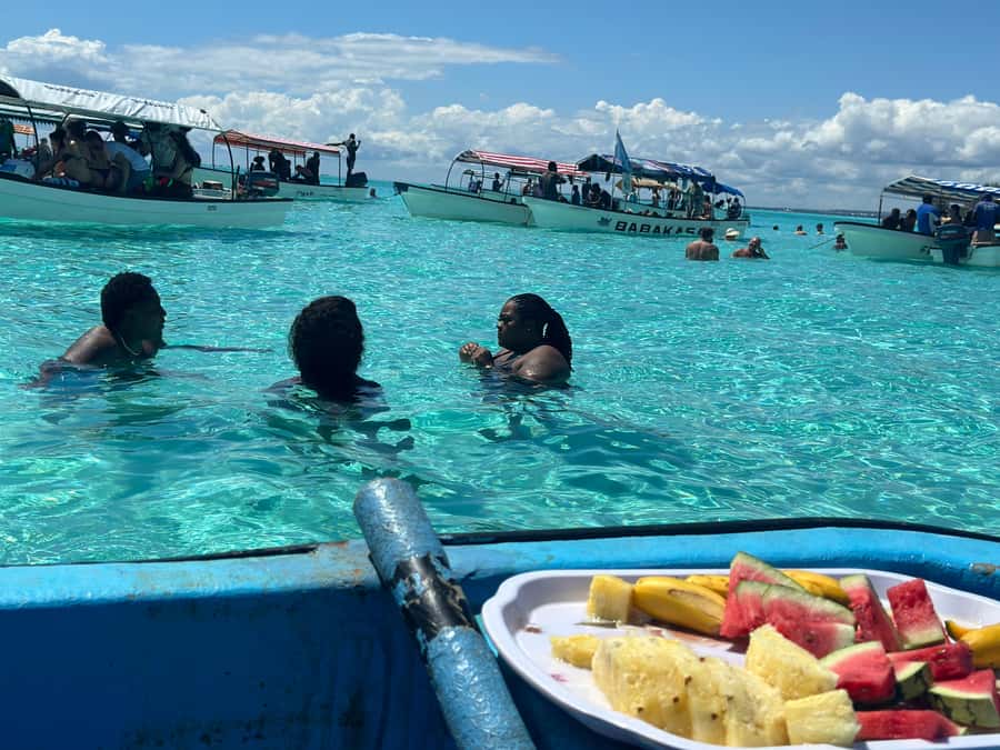 Zanzibar: Mnemba Island Dolphin and Snorkeling Tour - What to bring and who should book