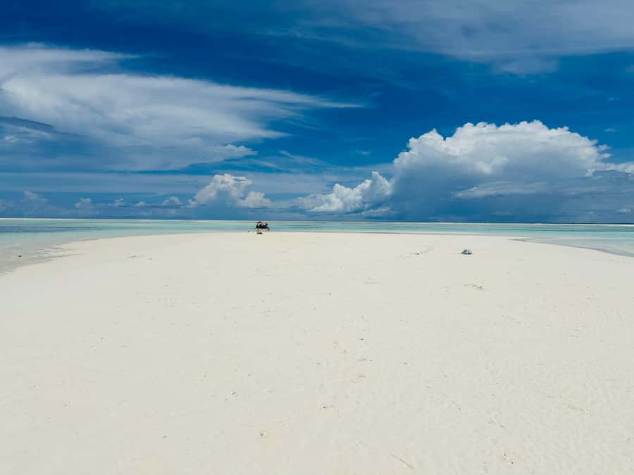 Zanzibar: Mnemba Island Dolphin and Snorkeling Tour - Is the $40 price good value?