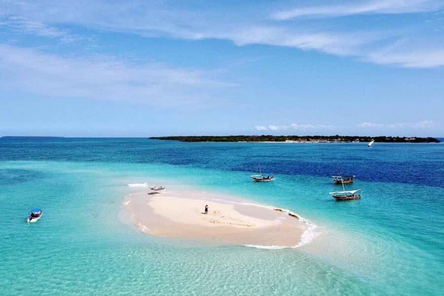 Zanzibar: Mnemba Island&Dolphin Swim With Optional Lunch - The dolphin stop: wonderful when handled well