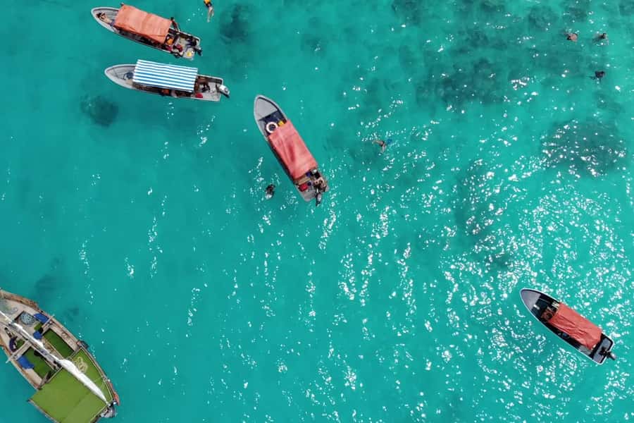 Zanzibar: Mnemba Island&Dolphin Swim With Optional Lunch - Snorkeling at Mnemba Atoll
