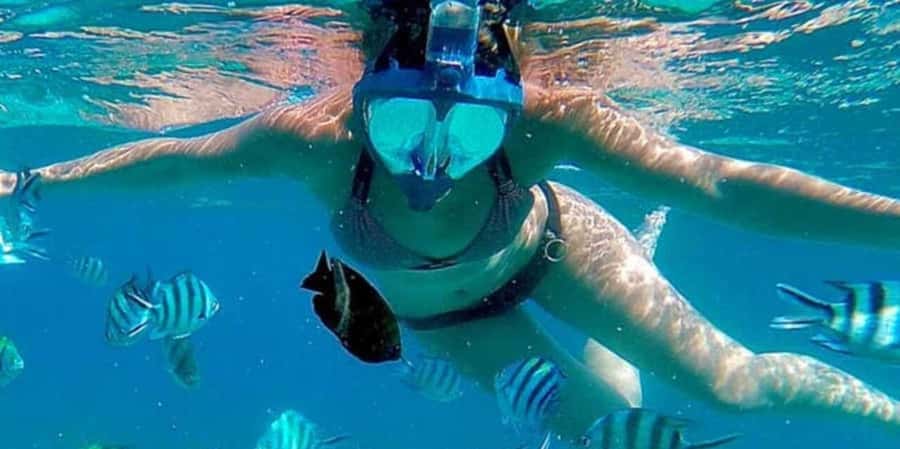 Zanzibar: Mnemba Island&Dolphin Swim With Optional Lunch - How the guides affect the day