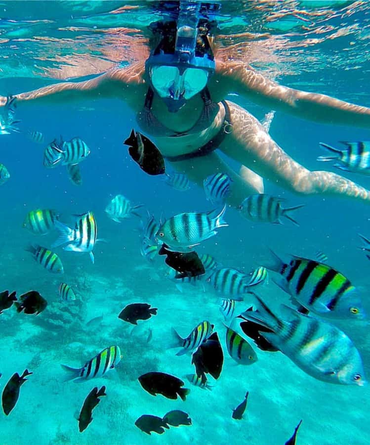 Zanzibar: Mnemba Island & Jozani Forest Tour with Turtles - What the price includes, and what it does not