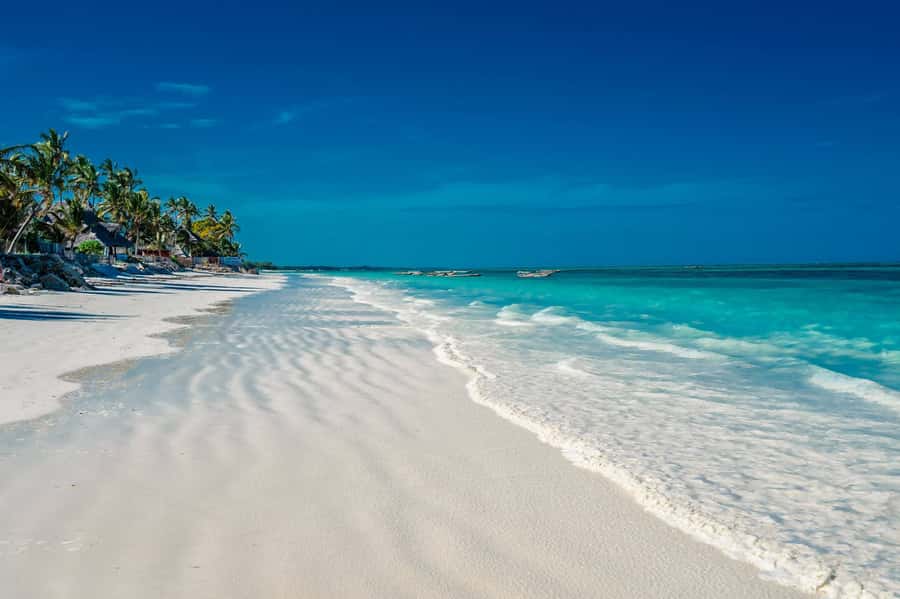 Zanzibar: Mnemba Island, Monkeys & Kuza Cave Private Tour - Cancellation, timing, and what to bring