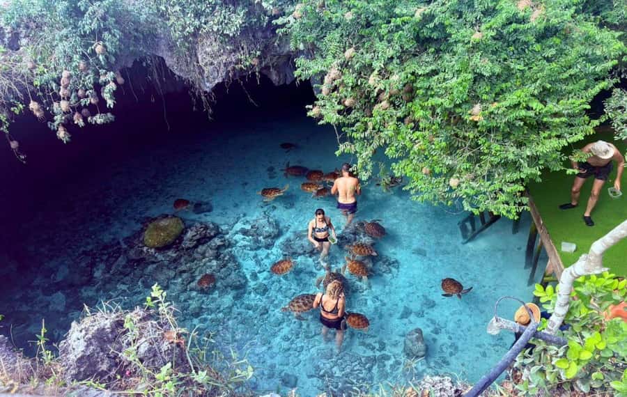 Zanzibar: Mnemba Island, Prison Island and Salaam Cave Tour - Key points to know before booking